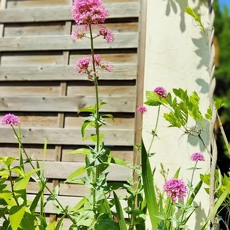 La Faraday 度假居 卡尔卡松